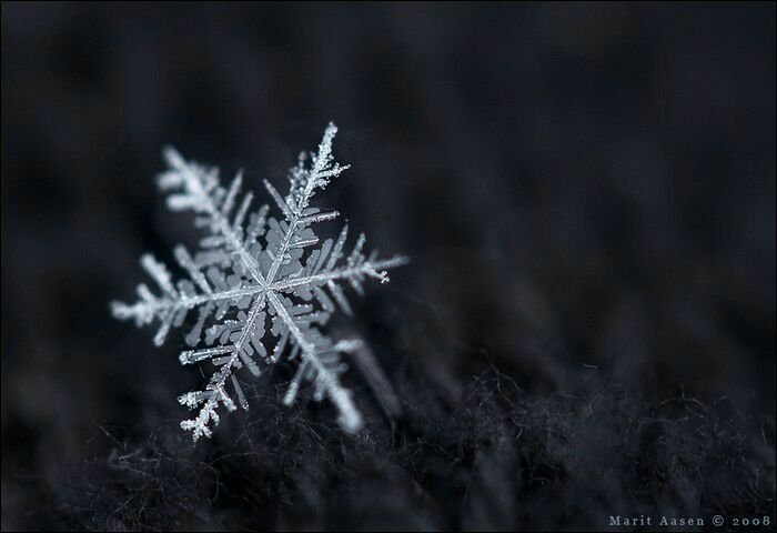 The Snow Queen | Wiki | Aякнαм Aѕуℓυм Amino