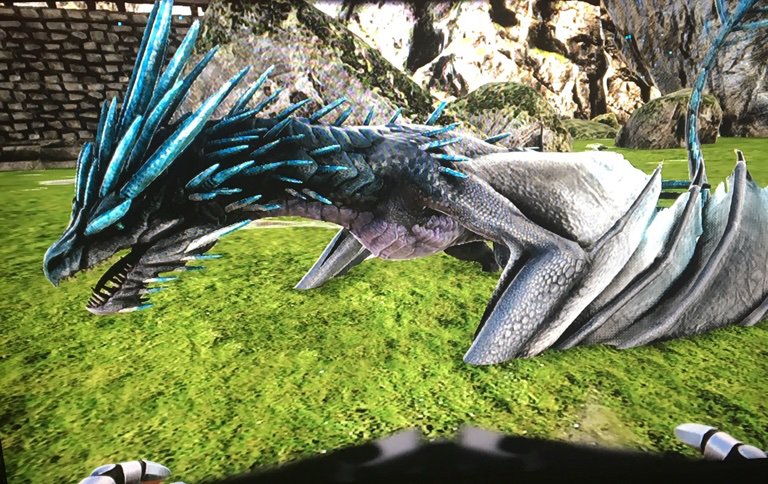 New Ice Wyvern! | Ark Survival Evolved Amino