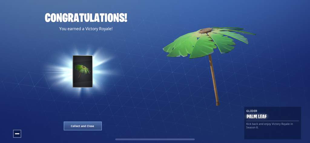 because everyone on mobile is basically bots and the last guy in the game died from the storm or something idk but i still won and got the umbrella - how to win solo fortnite season 8