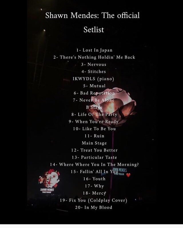 Shawn Mendes Tour Setlist | Shawn Mendes Army Amino