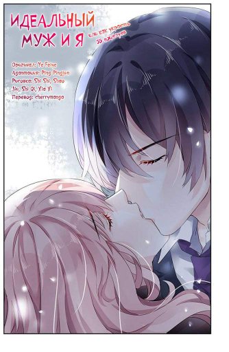Taking a perfect husband home anime