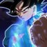 amino-Goku black-e372903c