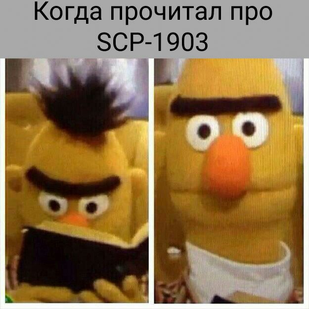 Мои мемы про SCP | Wiki | SCP Foundation [RUS] Amino