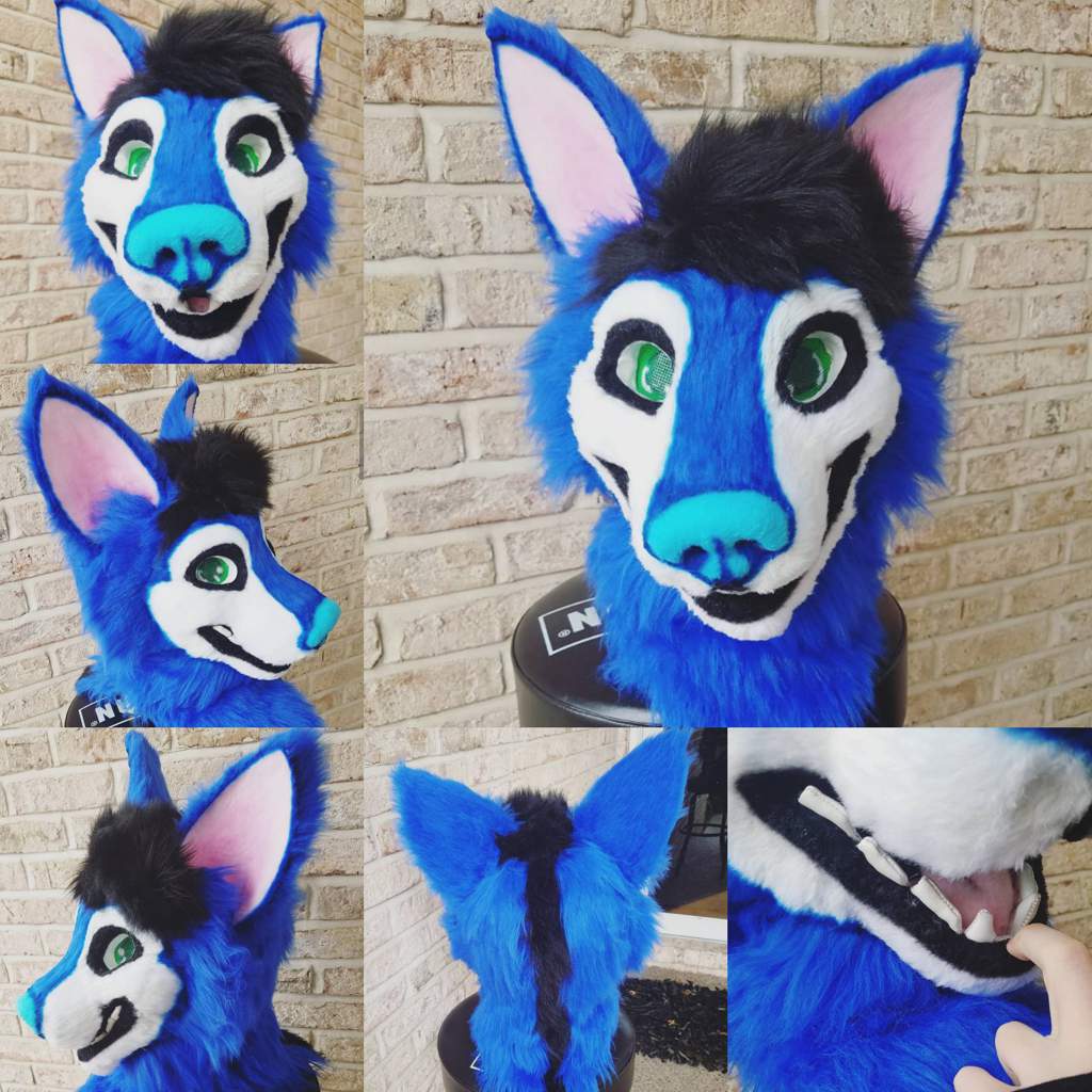 Aztek (Full Digi Suit Commission) | Wiki | Furry Amino