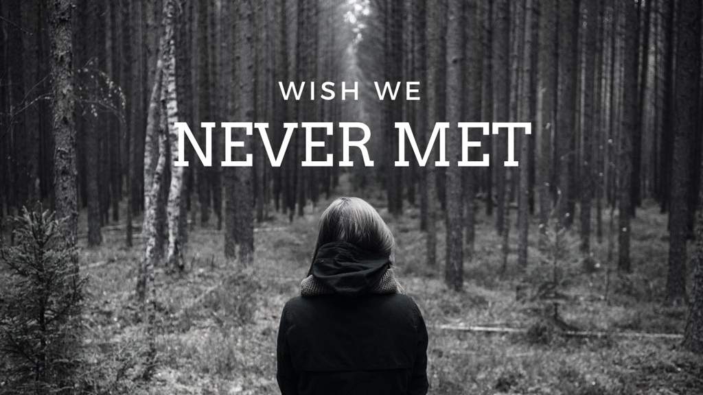 wish-we-never-met-asian-fan-fiction-amino