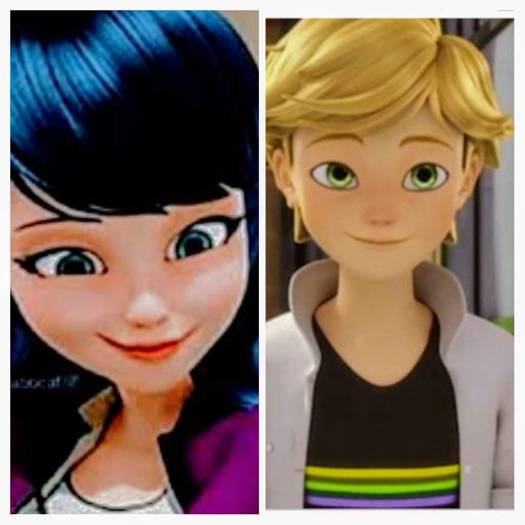 Leidynette y adrinoir | Wiki | •Miraculous Ladybug Español• Amino