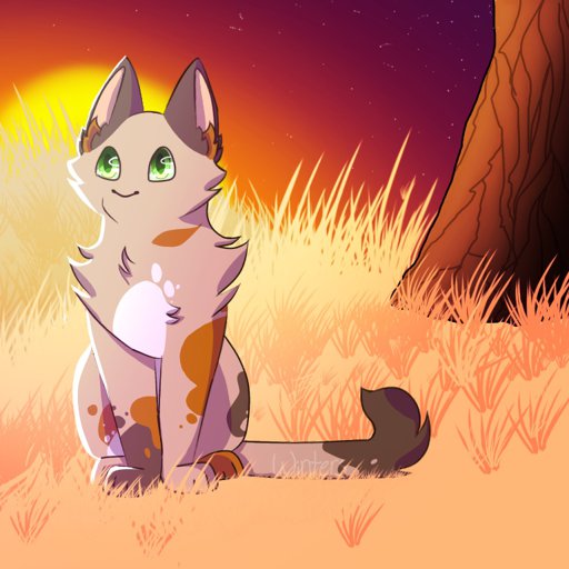 Warrior Theories | Warrior Cats Amino Amino