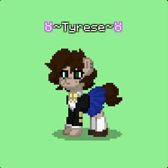 Zodiac High - Taurus Application | Pony Town Amino