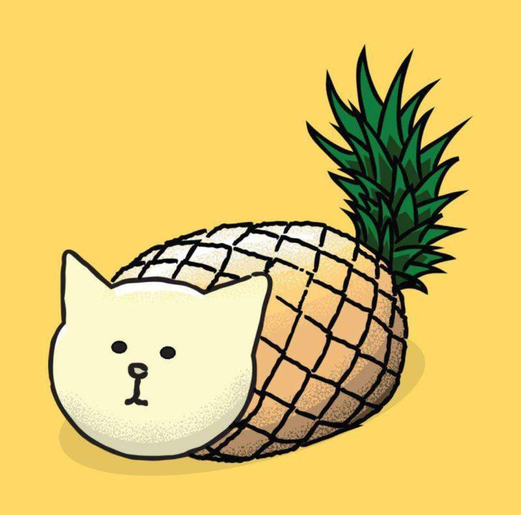 Котик ананас