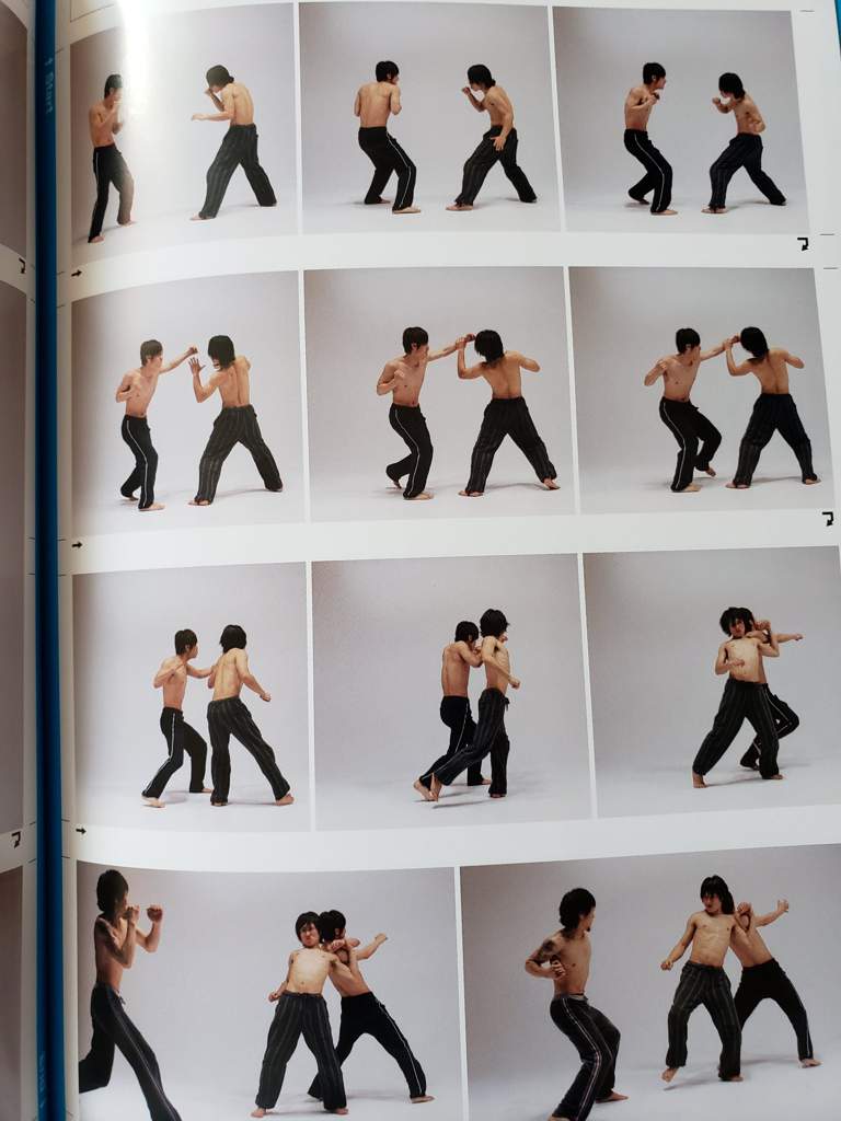 dynamic poses book