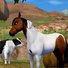 amino-TatianaEventing-9bea45f7