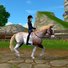 amino-TatianaEventing-40cd0e2c