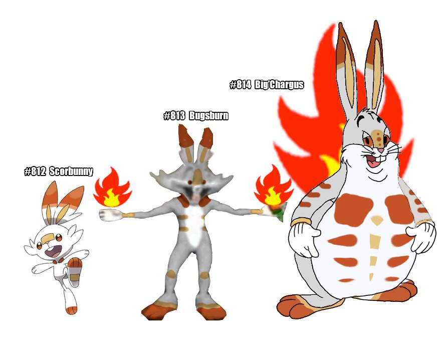 Scorbunny Evolution Line Revealed! | Pokémon Amino