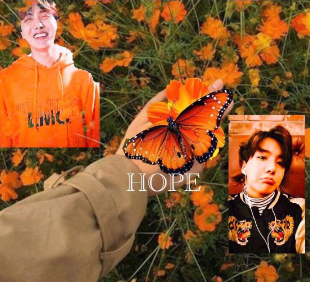 🦋BTS as butterflies🦋 | ARMY's Amino