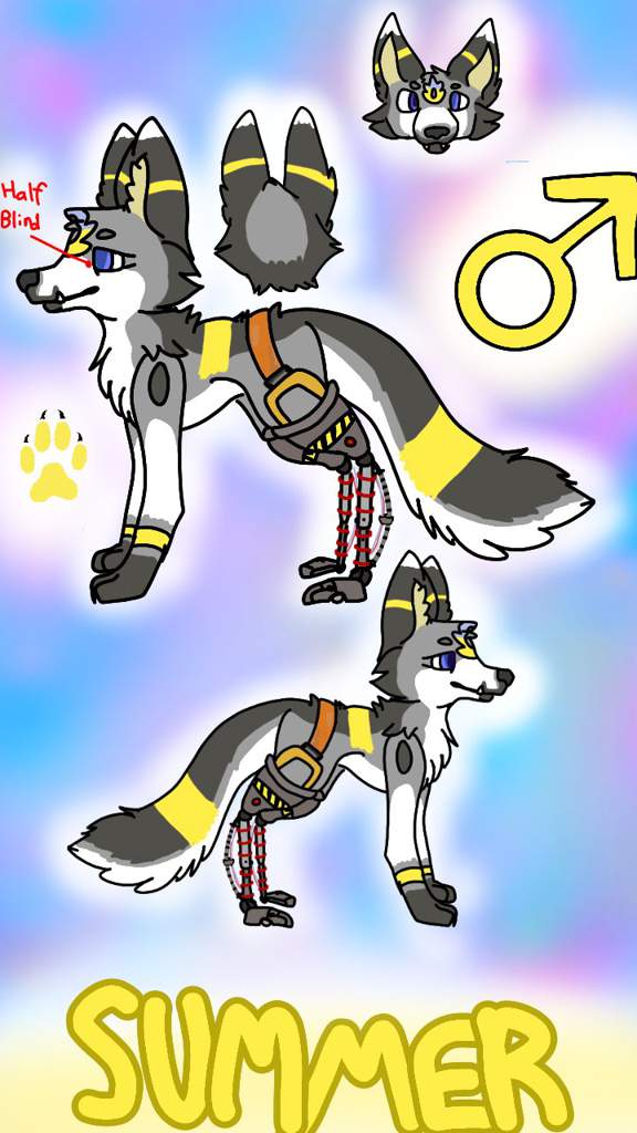 Commission Details Wiki Wolf Amino Amino