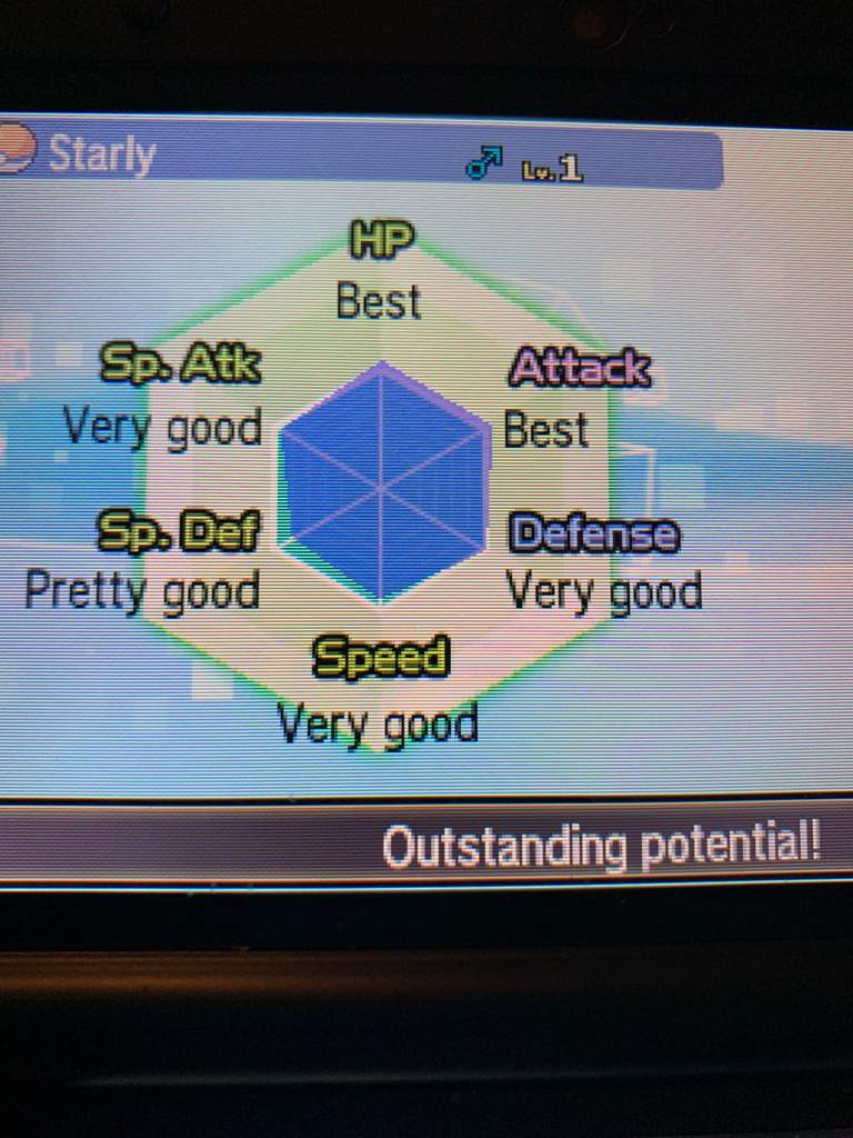 Got A Shiny Starly Shiny Pokemon Amino Amino Got A Shiny Starly Shiny Pokemon Amino Amino