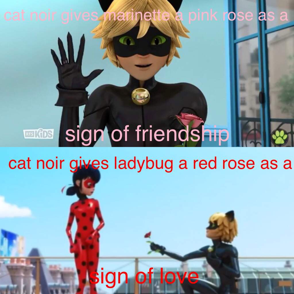 Miraculous ladybug: rose signs | Miraculous Amino