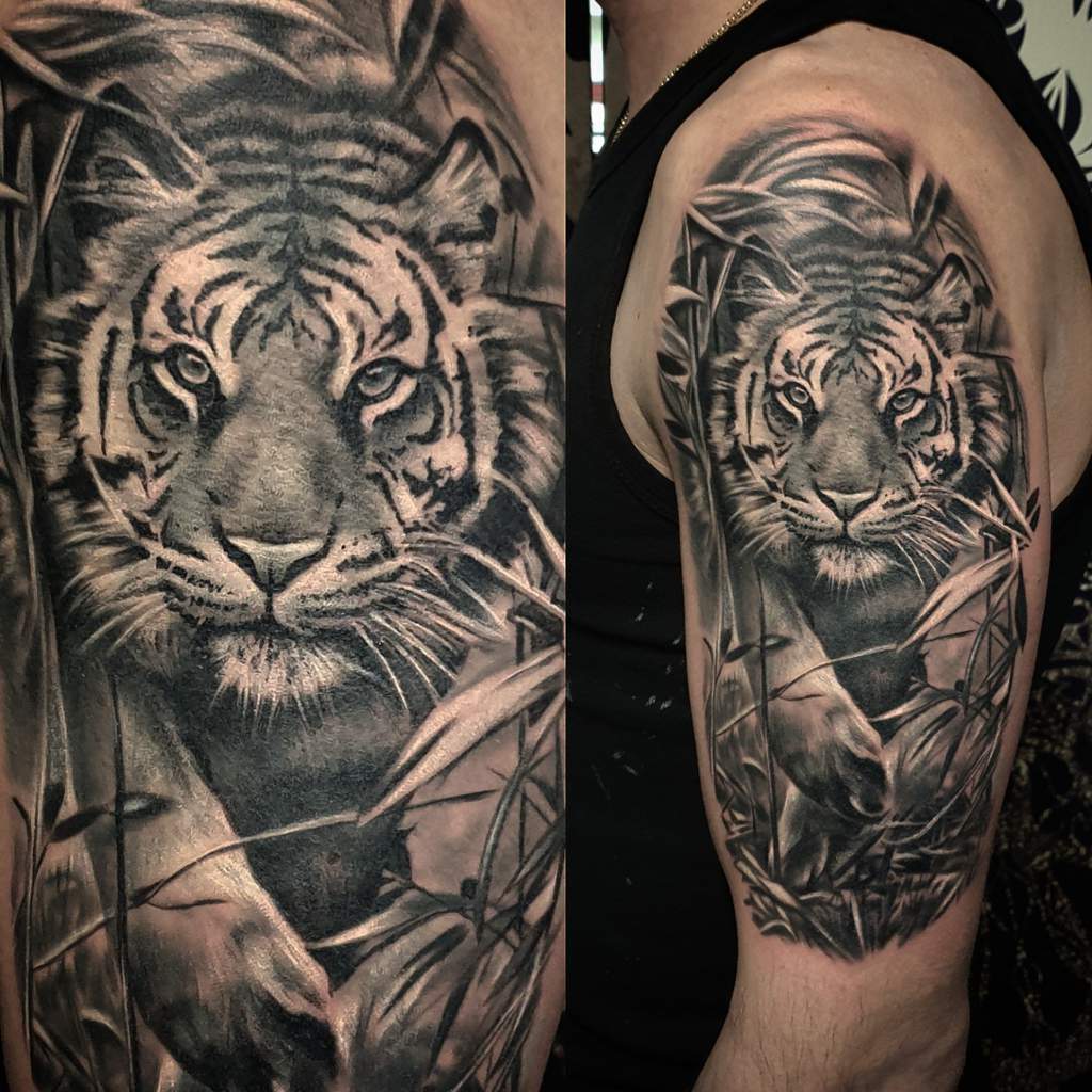 Tiger through the jungle | Tattoo Amino