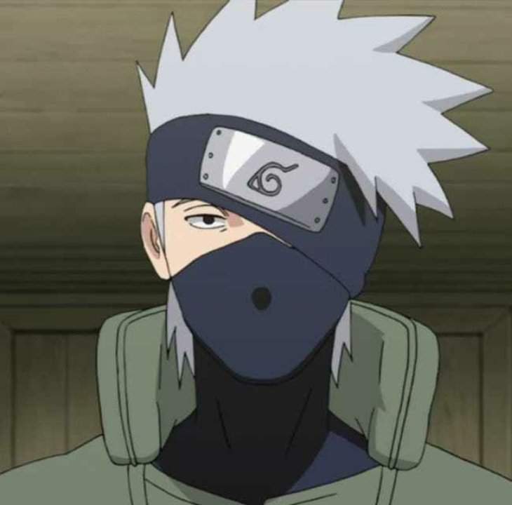 I dont know why but the ninja skin looks like kakashi from naruto ...