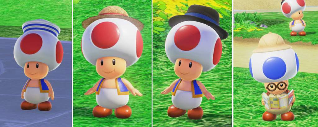 Toad Wiki Mario Amino 2902