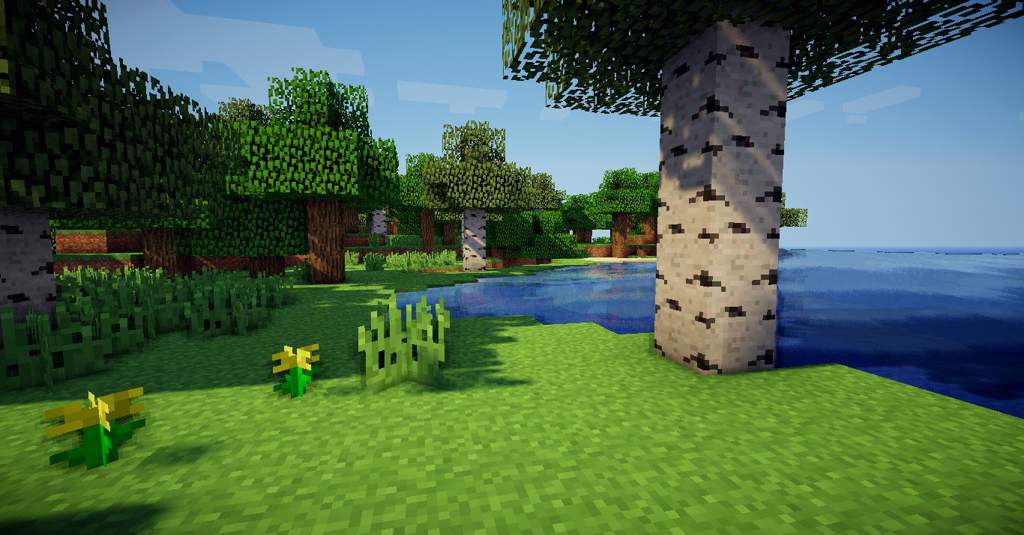 minecraft shaders and texture packs 1.14
