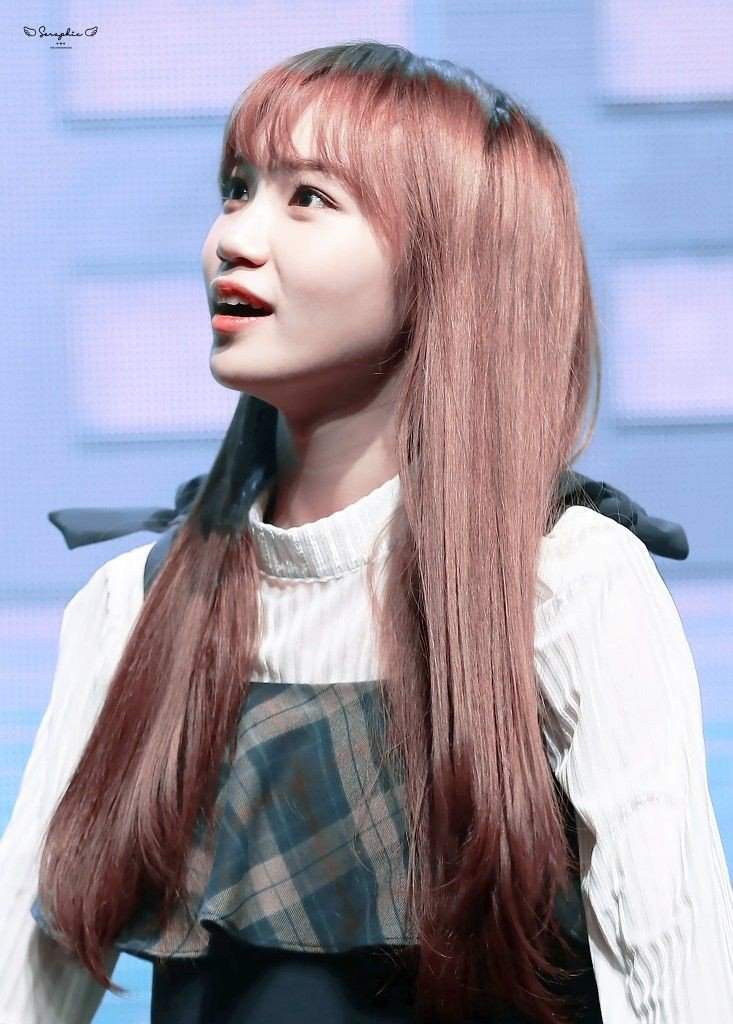 Kim Chaewon | Wiki | IZ*ONE BR/PT Amino