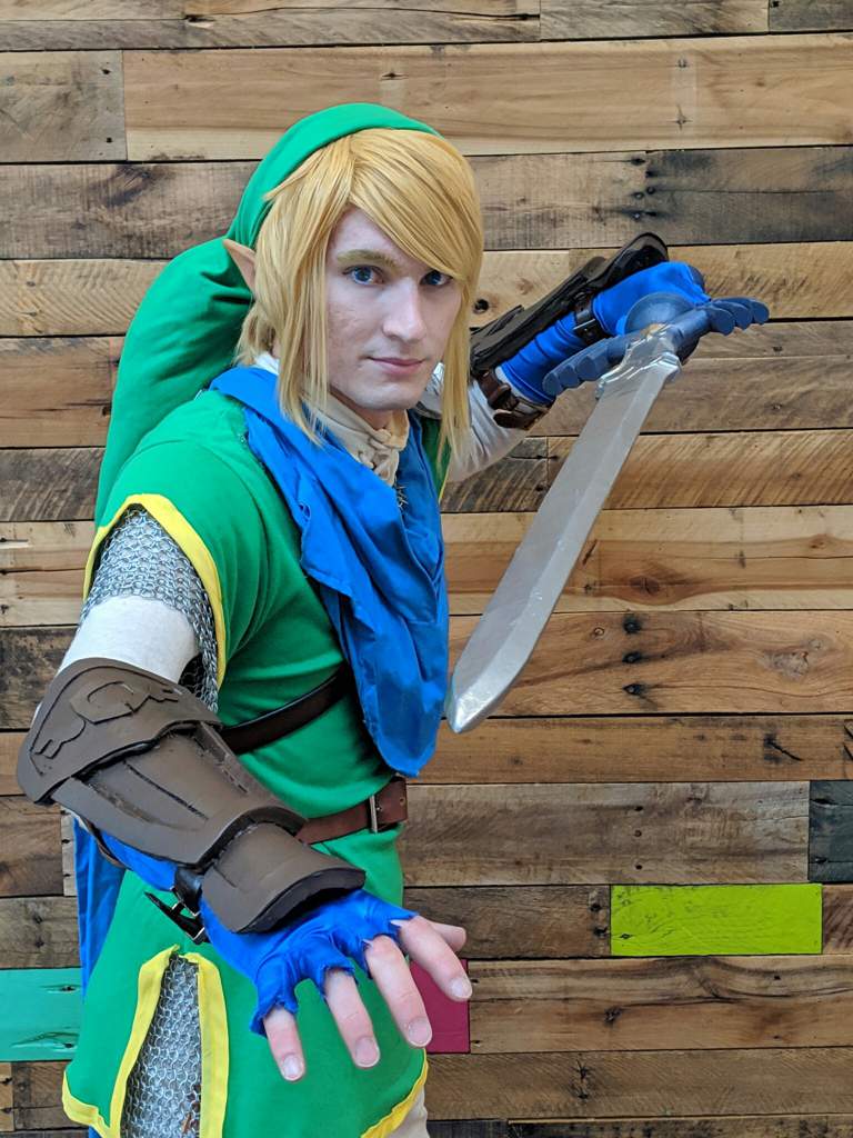 The Hyrule Warrior, Link | Cosplay Amino