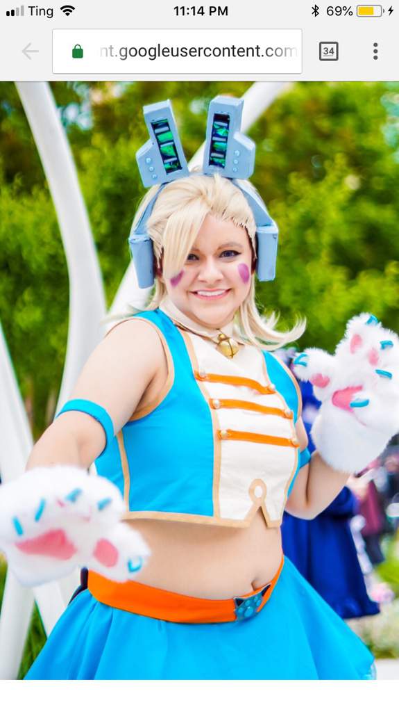 Pixie Bob Wiki Cosplay Amino