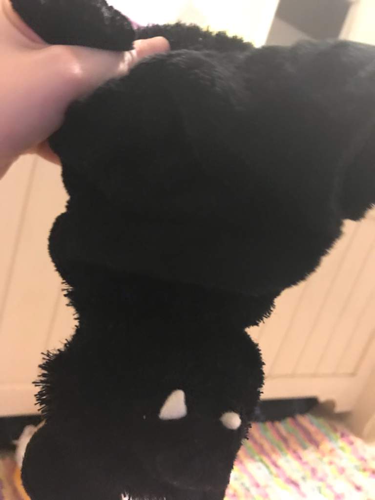 webkinz bat