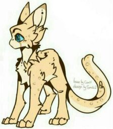 Maci | Wiki | Furry Amino