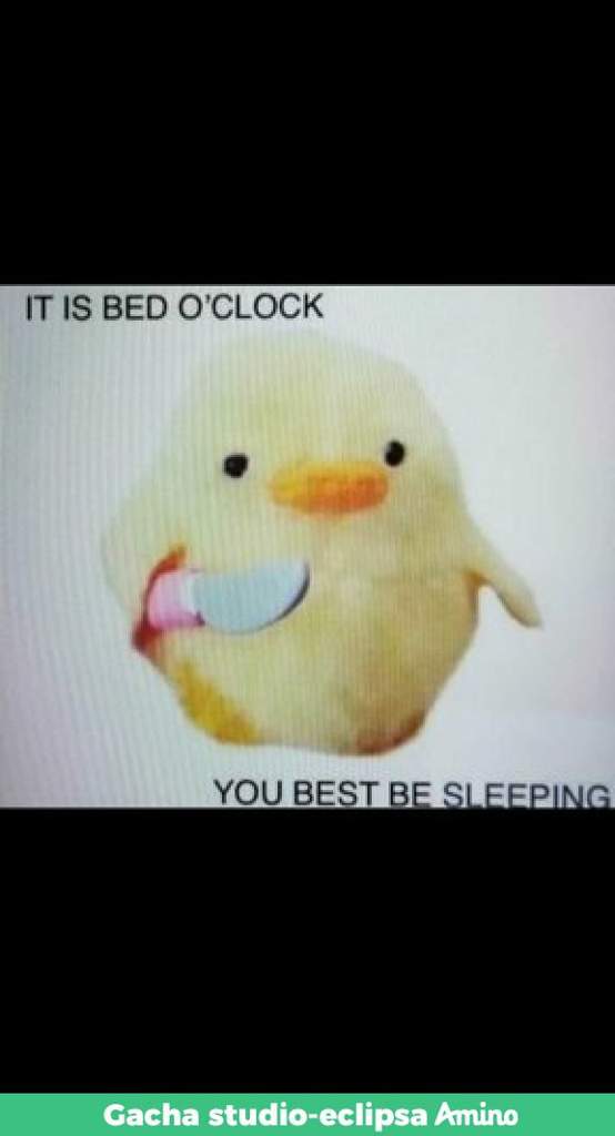 Its Bed O'clock You Best Be Sleeping - Captions Blog