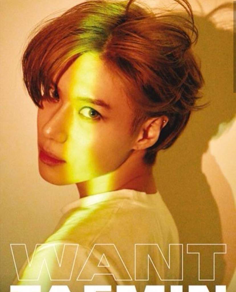 Taemin Want Review K Pop Amino