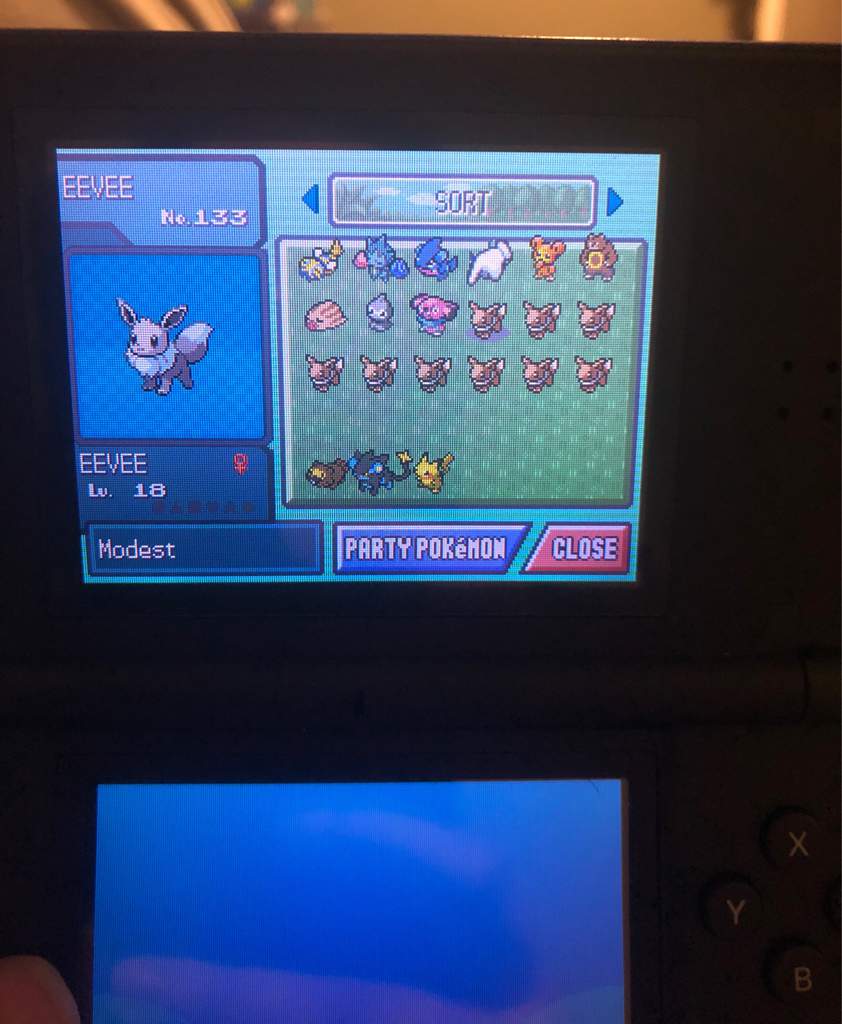 Cute Charm Eevees Pokémon Let’s Go! Amino