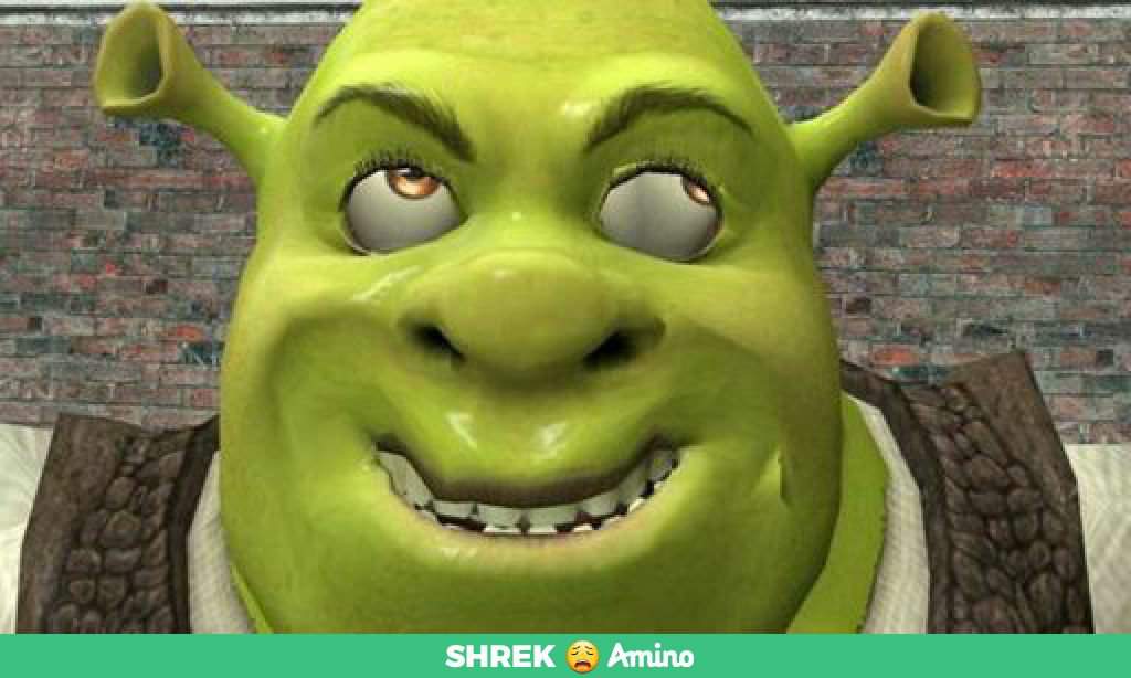 The New And Improved Daddy Shrek Leader Shrek Amino