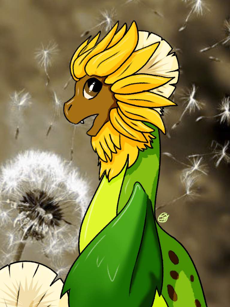 How to get dandelion dragon dragonvale