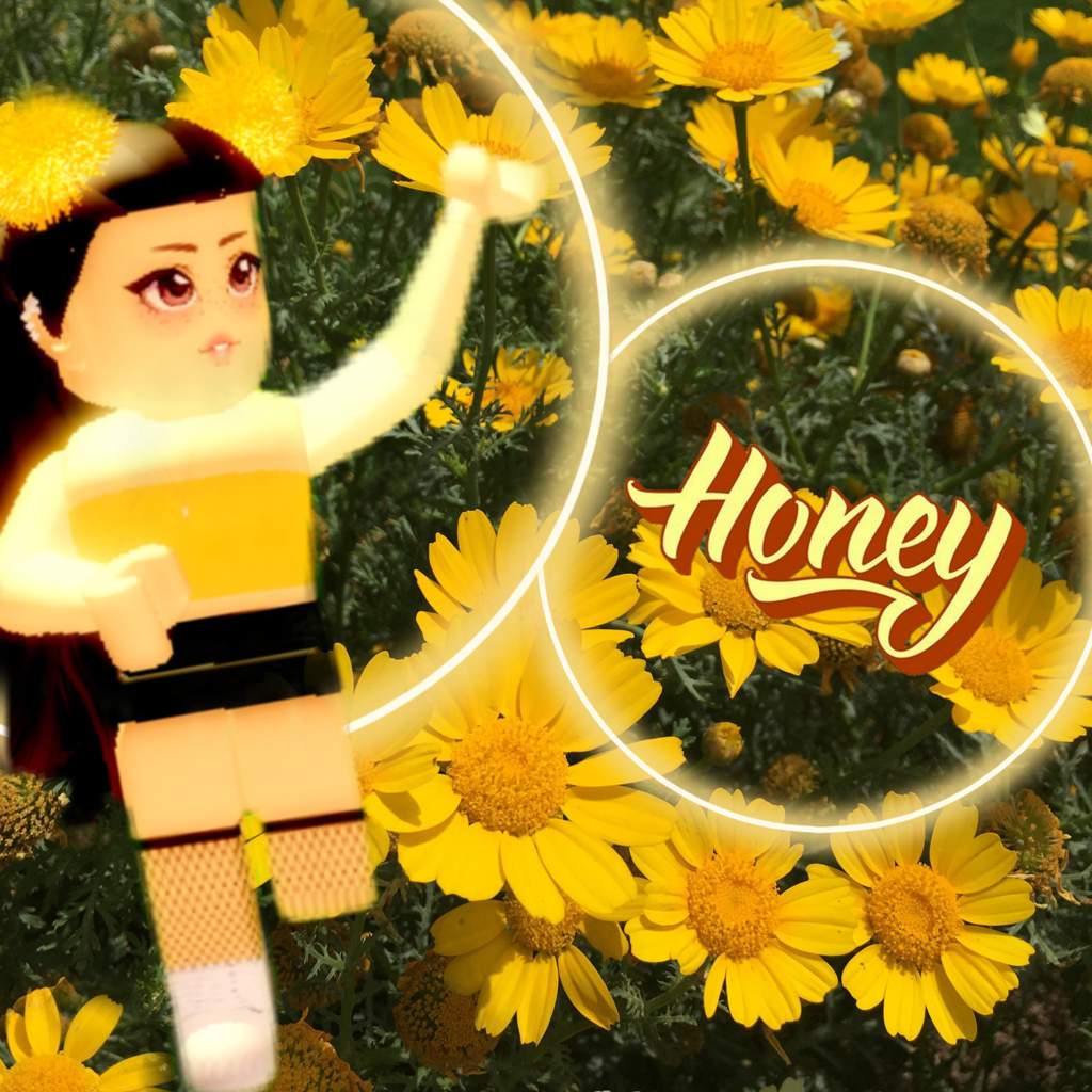 Honey Royal High Oc Wiki Roblox Amino - year 1982 roblox