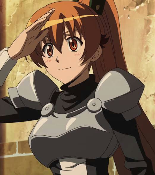 AGK Characters That are Similar to Other Anime Characters | Akame Ga
