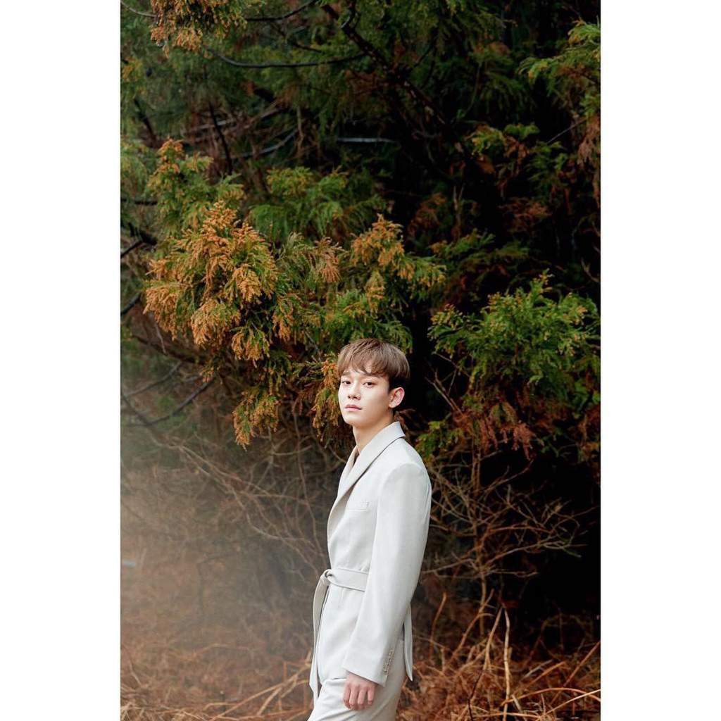 CHEN 1st Mini Album Update! | EXO-L INDONESIA (엑소) Amino