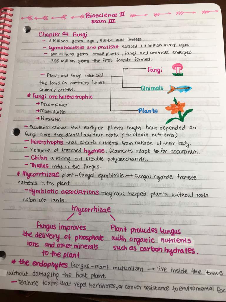 Biology notes 🔬🧬 | Studying Amino Amino