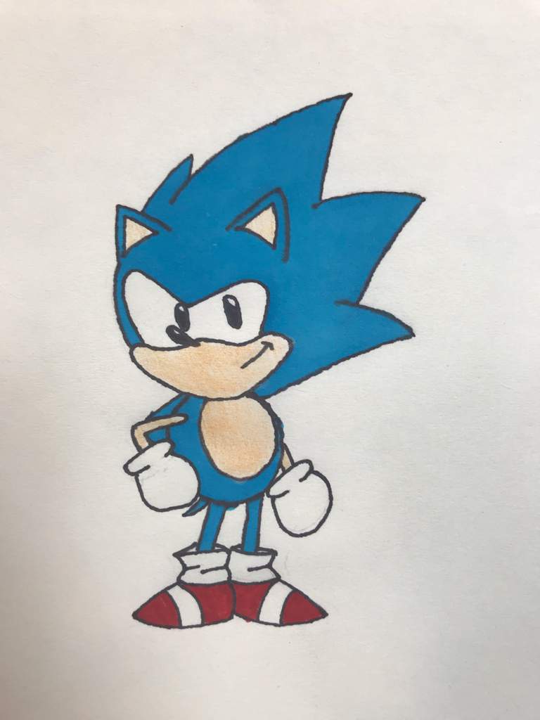 Classic Sonic Drawing Colored | Sonic the Hedgehog! Amino