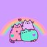 amino-Pusheen Fans 🐈-14752f2c