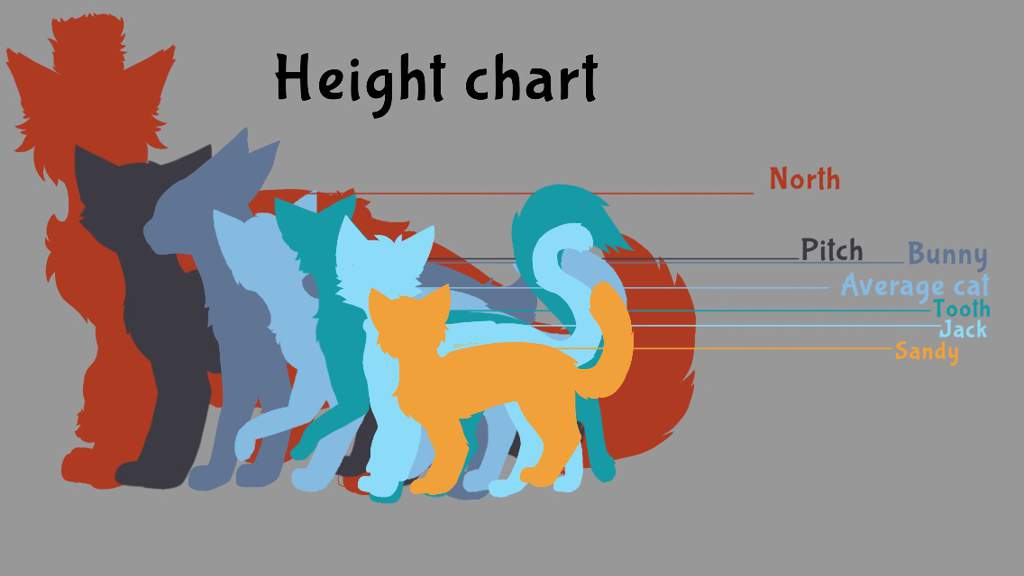 Cat Height Chart