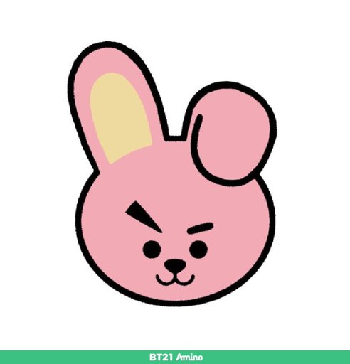 Cooky | Wiki | BT21 Amino