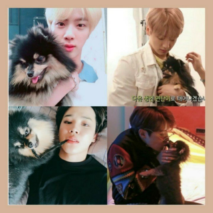 A Yeontan Game Package #ARAGameClub | ARMY's Amino