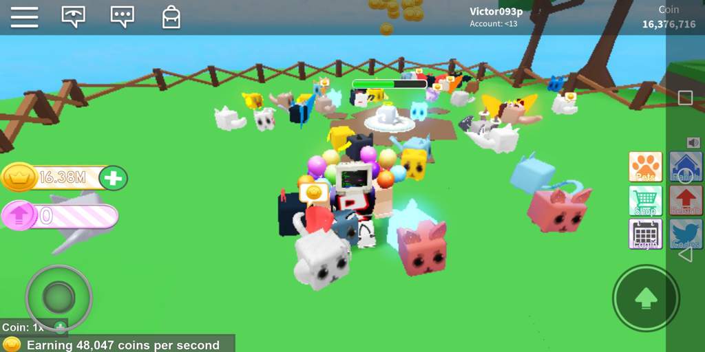 The Pet Crew Roblox Amino - 