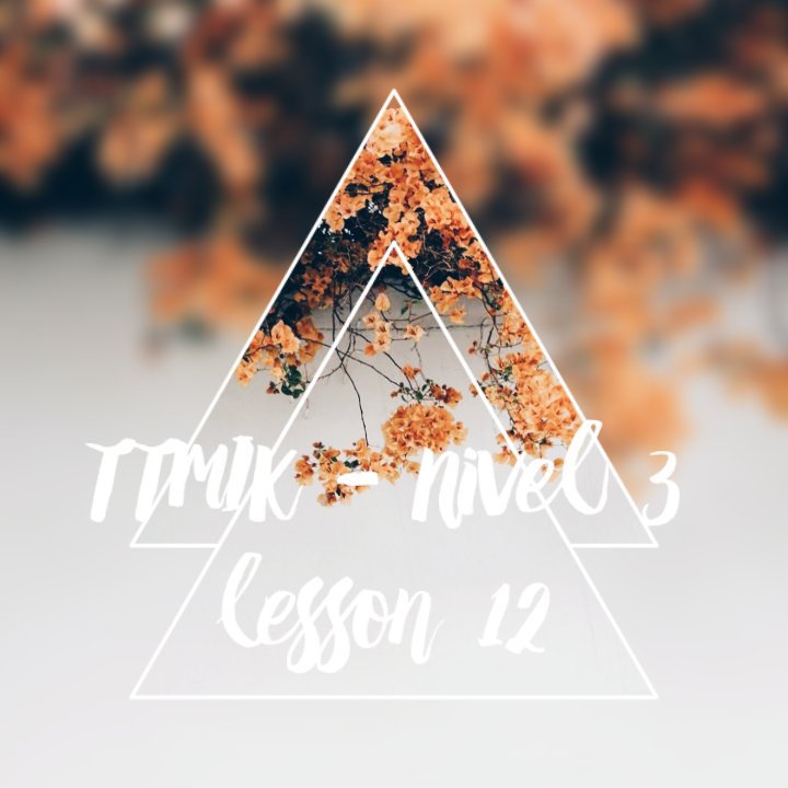 TTMIK - Nivel 3 lección 12 | Aprende Coreano Amino Amino