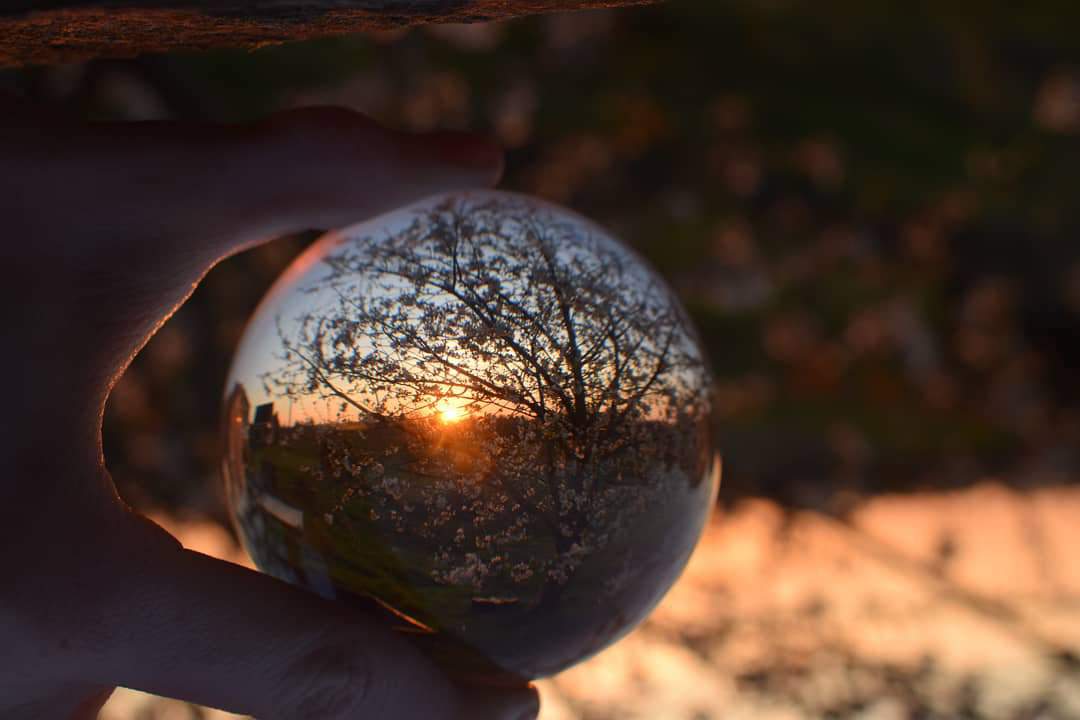 Lens ball | Photography Amino