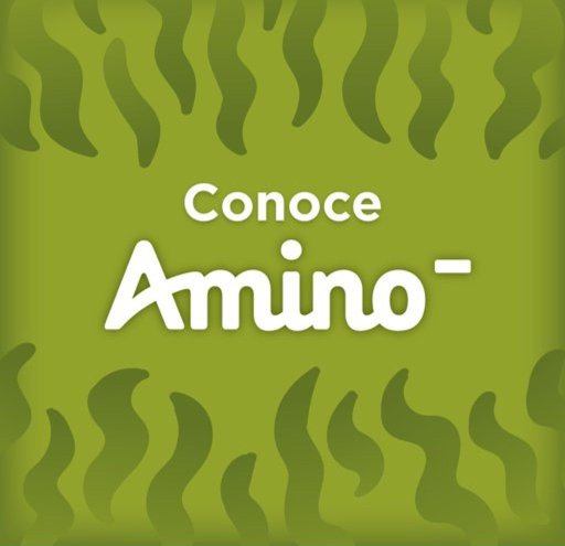 Canela Te Manda Ctmhailprieto Roblox Amino En Español - musico0f hailnothing roblox amino en espa#U00f1ol amino