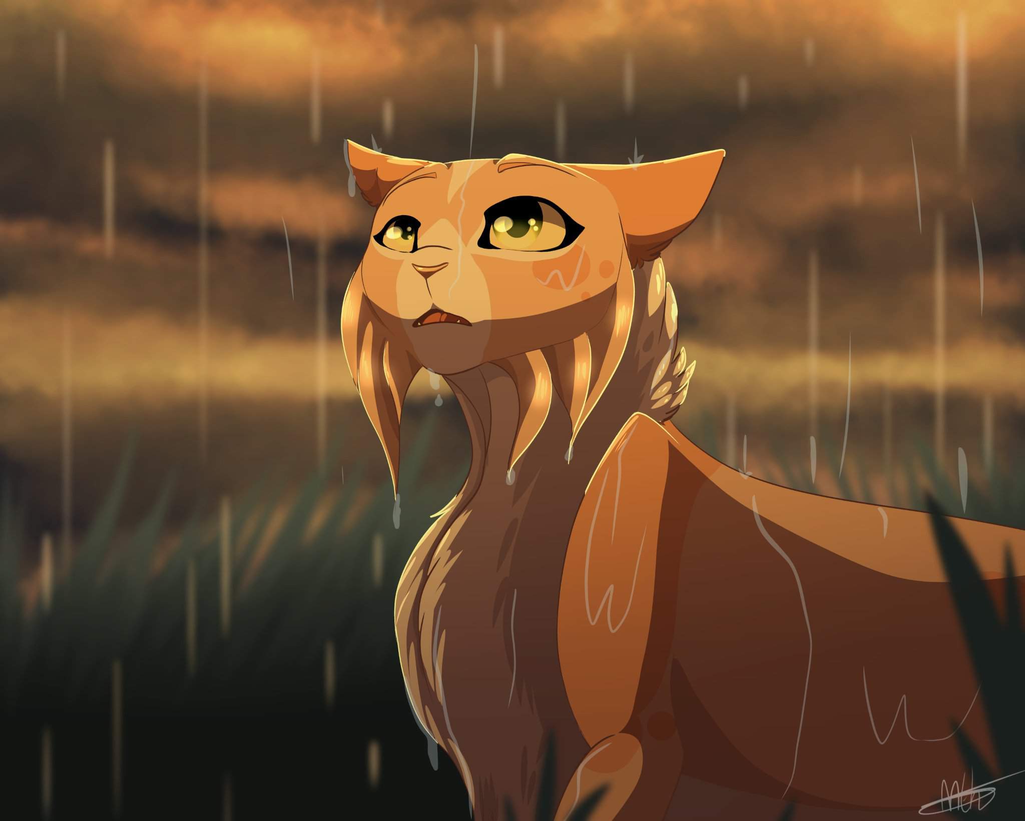 Rainy day | Warriors Amino