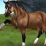 amino-Horse Girl 122-5a391441